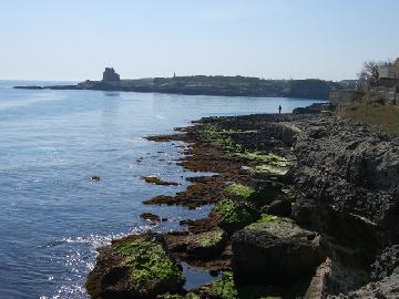 Roca Vecchia - Le Conche