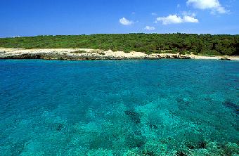 porto selvaggio