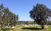 campagna