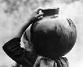 Modotti