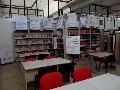 mostra a cavallino
