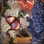  castagne e vino 
