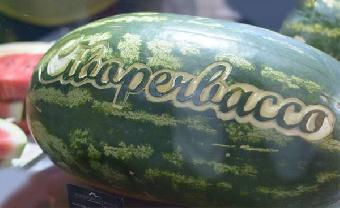 Ciboperbacco