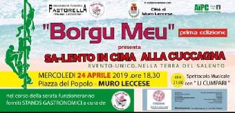 Borgu meu