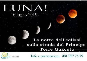 Luna!