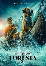 Il richiamo della foresta